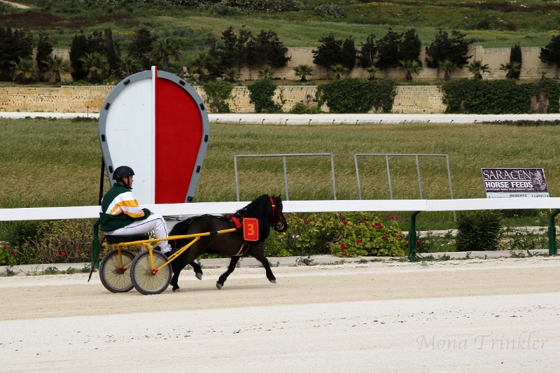 2015_Race 1 - 09.JPG